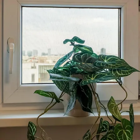 Little Base Near Old Town & Calea Victoriei