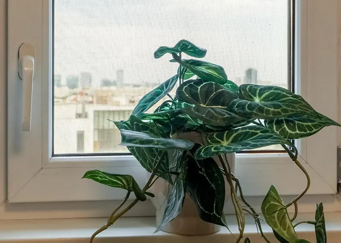 Little Base Near Old Town & Calea Victoriei